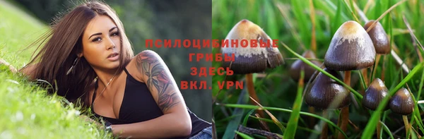 ПСИЛОЦИБИНОВЫЕ ГРИБЫ Абинск