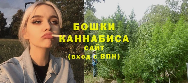 сатива Абдулино