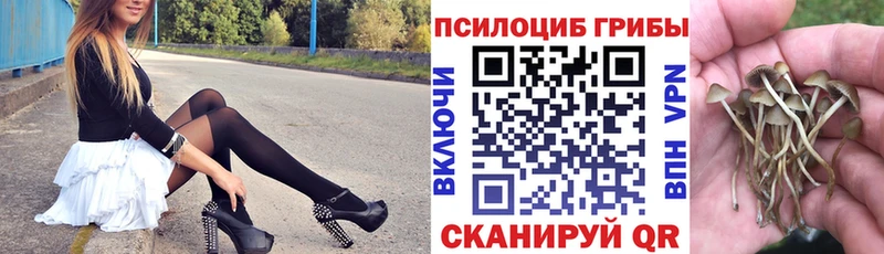 Псилоцибиновые грибы мухоморы  shop формула  Красково  цена  